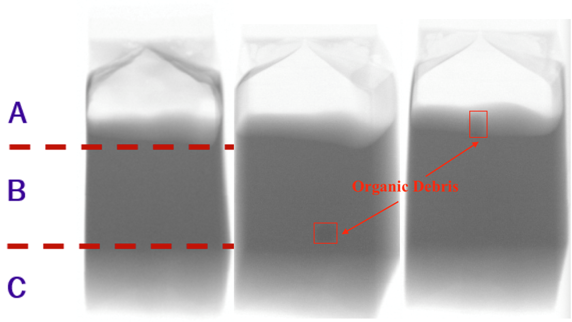 Detección de material orgánico